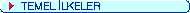 TEMEL �LKELER