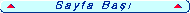 SAYFA BA�I